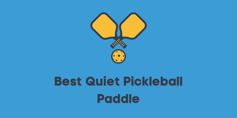 Best Quiet Pickleball Paddle